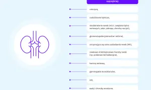 Grafika przedstawia schemat nerek i listę przyczyn przewlekłego uszkodzenia nerek, w tym cukrzycę, nadciśnienie i nefropatię.