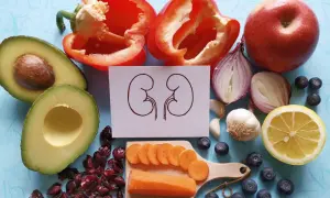 Zdrowe produkty spożywcze: awokado, papryka, jabłko, cebula, czosnek, cytryna, borówki, żurawina i marchewka. Ilustracja nerek sugeruje kłębuszkowe zapalenie nerek dieta.