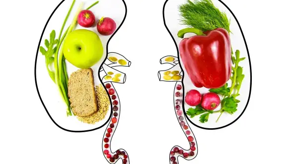 Zdrowa dieta to klucz do tego, jak dbać o nerki przy cukrzycy. Na ilustracji nerki wypełnione owocami, warzywami i pełnoziarnistym pieczywem.